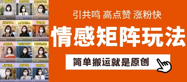 简单搬运，情感矩阵玩法，涨粉速度快，可带货，可起号【揭秘】-林文副业站