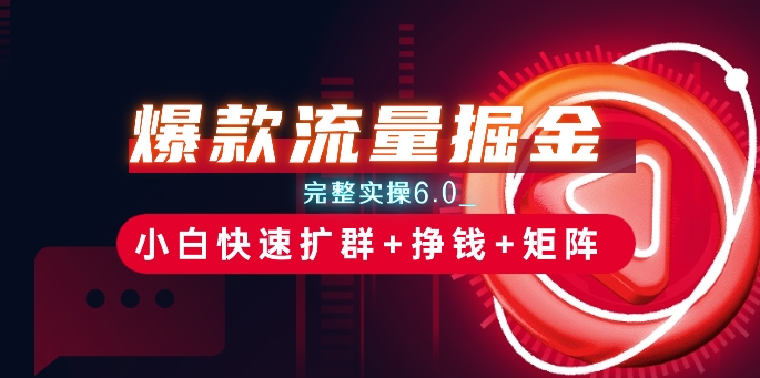 爆款流量掘金_完整实操6.0_小白快速扩群+挣钱+矩阵思路【揭秘】-林文副业站