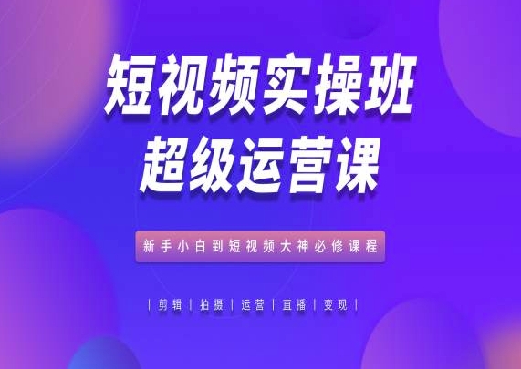 短视频实操班超级运营课，新手小白到短视频大神必修课程-林文副业站