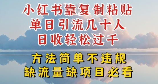 小红书靠复制粘贴单日引流几十人目收轻松过千，方法简单不违规【揭秘】-林文副业站