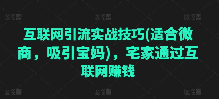 互联网引流实战技巧(适合微商，吸引宝妈)，宅家通过互联网赚钱-林文副业站