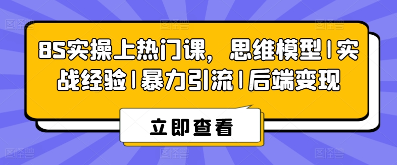 8S实操上热门课，思维模型|实战经验|暴力引流|后端变现-林文副业站
