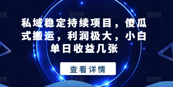 私域稳定持续项目，傻瓜式搬运，利润极大，小白单日收益几张【揭秘】-林文副业站