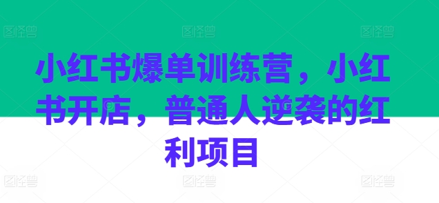 小红书爆单训练营，小红书开店，普通人逆袭的红利项目-林文副业站