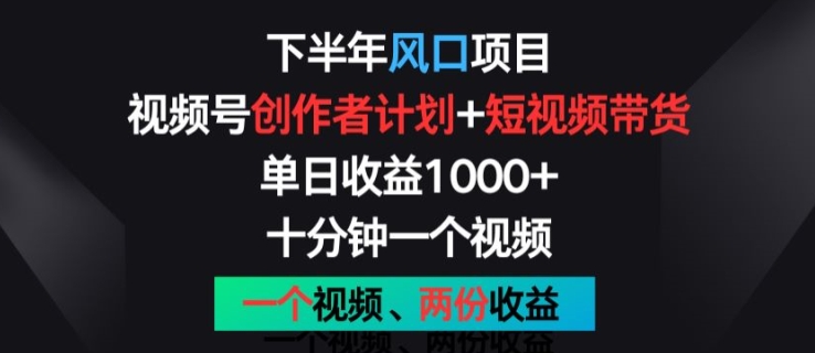 下半年风口项目，视频号创作者计划+视频带货，一个视频两份收益，十分钟一个视频【揭秘】-林文副业站