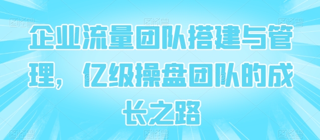 企业流量团队搭建与管理，亿级操盘团队的成长之路-林文副业站