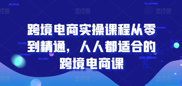 跨境电商实操课程从零到精通，人人都适合的跨境电商课-林文副业站