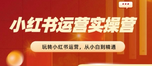 2024小红书运营实操营，​从入门到精通，完成从0~1~100-林文副业站