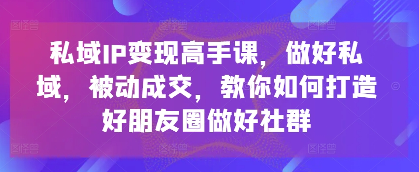 私域IP变现高手课，做好私域，被动成交，教你如何打造好朋友圈做好社群-林文副业站