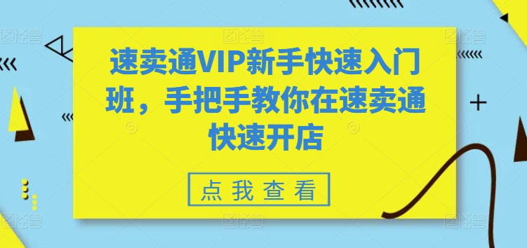 速卖通VIP新手快速入门班，手把手教你在速卖通快速开店-林文副业站