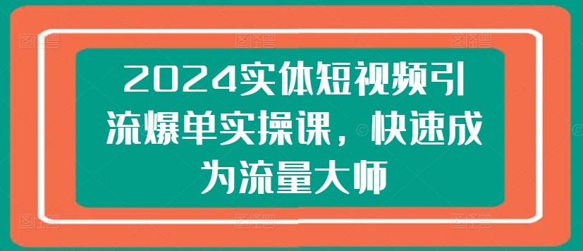 2024实体短视频引流爆单实操课，快速成为流量大师-林文副业站