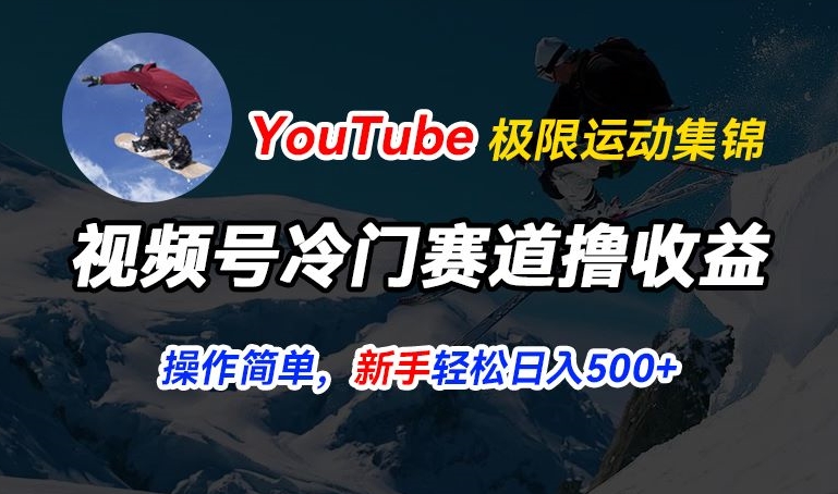 视频号冷门赛道撸收益，YouTube搬运极限运动集锦，暴力起号，操作简单流量高，轻松日入5张【揭秘】-林文副业站