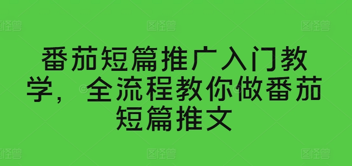 番茄短篇推广入门教学，全流程教你做番茄短篇推文-林文副业站
