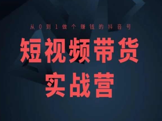 短视频带货实战营(高阶课)，从0到1做个赚钱的抖音号-林文副业站