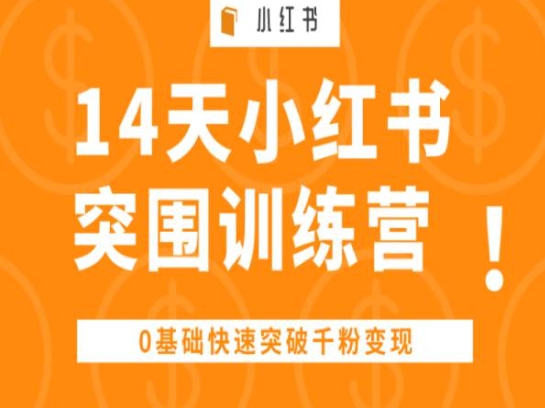14天小红书突围训练营 ，0基础快速突破千粉变现-林文副业站