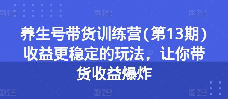 养生号带货训练营(第13期)收益更稳定的玩法，让你带货收益爆炸-林文副业站