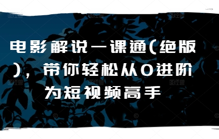 电影解说一课通(绝版)，带你轻松从0进阶为短视频高手-林文副业站