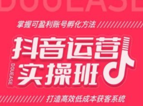 抖音运营实操班，掌握可盈利账号孵化方法，打造高效低成本获客系统-林文副业站