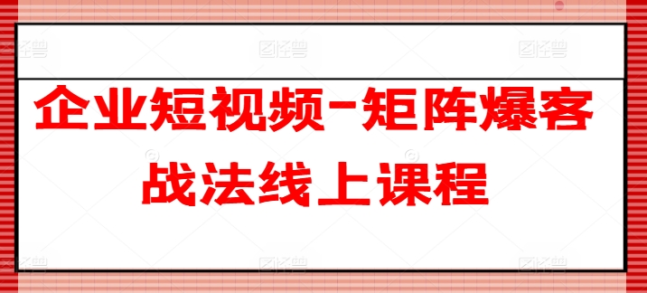 企业短视频-矩阵爆客战法线上课程-林文副业站