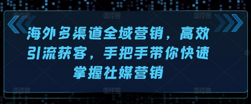 海外多渠道全域营销，高效引流获客，手把手带你快速掌握社媒营销-林文副业站
