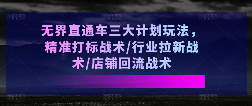 无界直通车三大计划玩法，精准打标战术/行业拉新战术/店铺回流战术-林文副业站