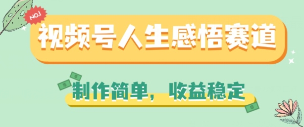 视频号人生感悟赛道，制作简单，收益稳定【揭秘】-林文副业站