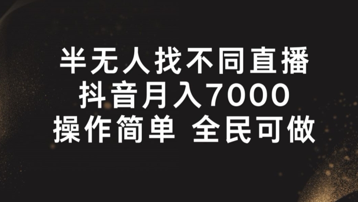 半无人找不同直播，月入7000+，操作简单 全民可做【揭秘】-林文副业站