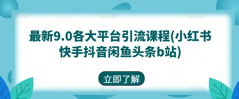 最新9.0各大平台引流课程(小红书快手抖音闲鱼头条b站)-林文副业站