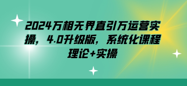 2024万相无界直引万运营实操，4.0升级版，系统化课程 理论+实操-林文副业站