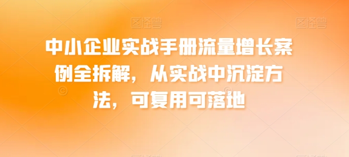 中小企业实战手册流量增长案例全拆解，从实战中沉淀方法，可复用可落地-林文副业站