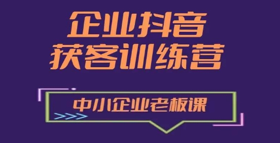 企业抖音营销获客增长训练营，中小企业老板必修课-林文副业站