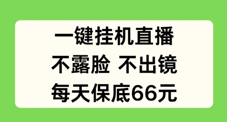 一键挂JI直播，不露脸不出境，每天保底66元【揭秘】-林文副业站