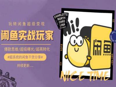 手把手教你0到1系统玩转闲鱼变现，爆款思维/超级曝光/超高转化-林文副业站