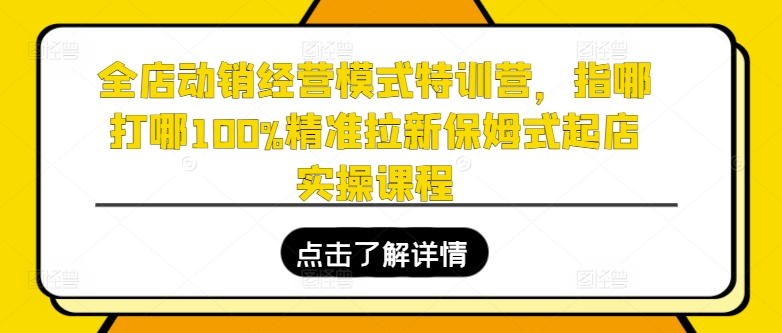 全店动销经营模式特训营，指哪打哪100%精准拉新保姆式起店实操课程-林文副业站