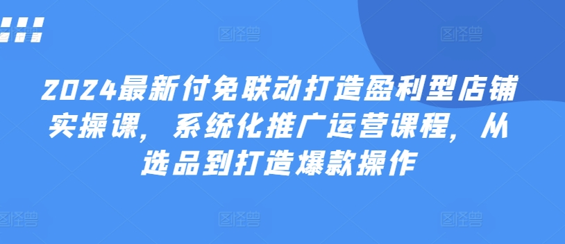 2024最新付免联动打造盈利型店铺实操课，​系统化推广运营课程，从选品到打造爆款操作-林文副业站