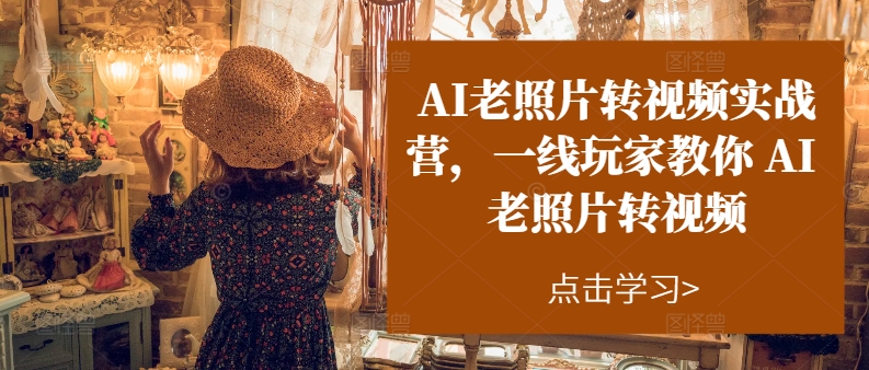 AI老照片转视频实战营，一线玩家教你AI老照片转视频-林文副业站
