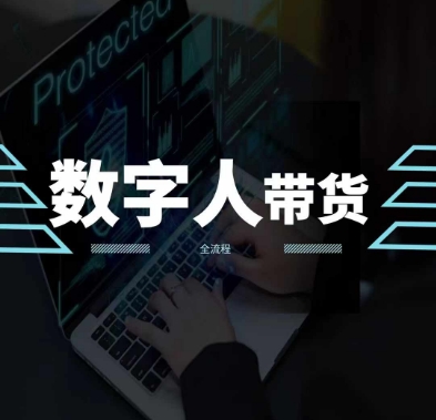 2024火爆AI数字人短视频带货教程，谁说好物流量不好？因为你不懂方法-林文副业站