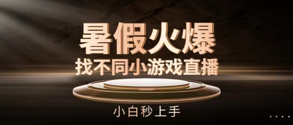 暑假火爆找不同小游戏直播间，小白秒上手【揭秘】-林文副业站