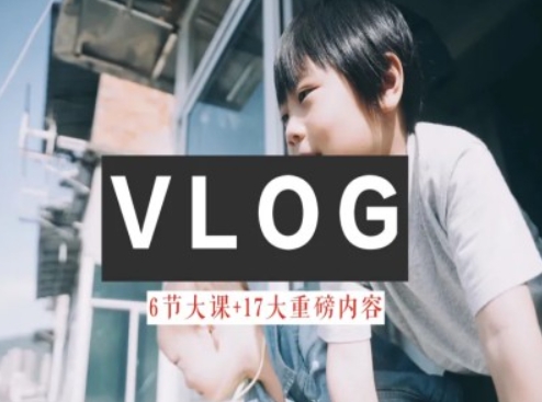 零基础vlog视频课教你小白变大神-生活美学教程-林文副业站