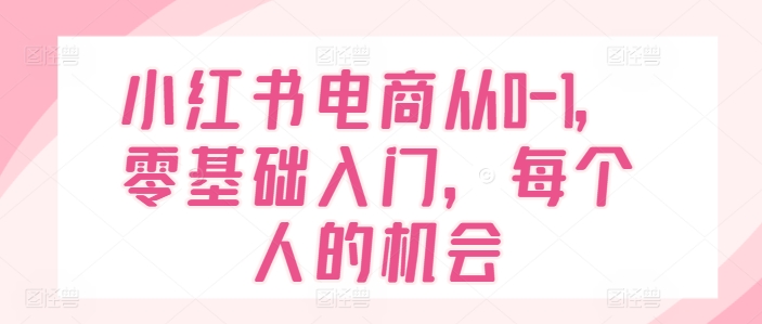 小红书电商从0-1，零基础入门，每个人的机会-林文副业站