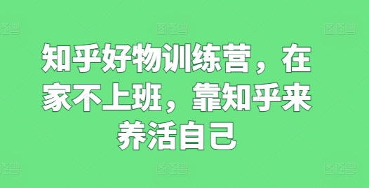 知乎好物训练营，在家不上班，靠知乎来养活自己-林文副业站