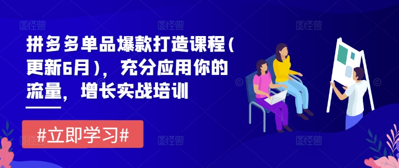 拼多多单品爆款打造课程(更新6月)，充分应用你的流量，增长实战培训-林文副业站