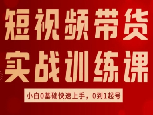 短视频带货实战训练课，好物分享实操，小白0基础快速上手，0到1起号-林文副业站