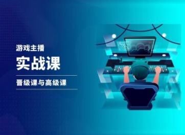 游戏直播实战课，抖音直播晋级课与高级课-林文副业站