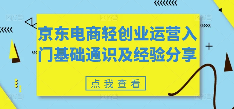 京东电商轻创业运营入门基础通识及经验分享-林文副业站