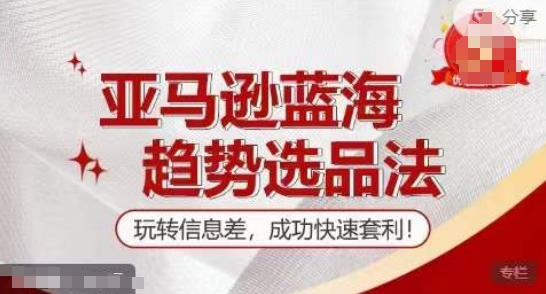 【训练营】亚马逊蓝海趋势选品法，玩转信息差，成功快速套利-林文副业站