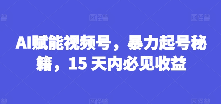 AI赋能视频号，暴力起号秘籍，15 天内必见收益【揭秘】-林文副业站