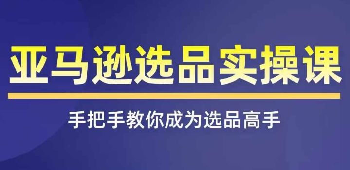 亚马逊选品实操课程，快速掌握亚马逊选品的技巧，覆盖亚马逊选品所有渠道-林文副业站