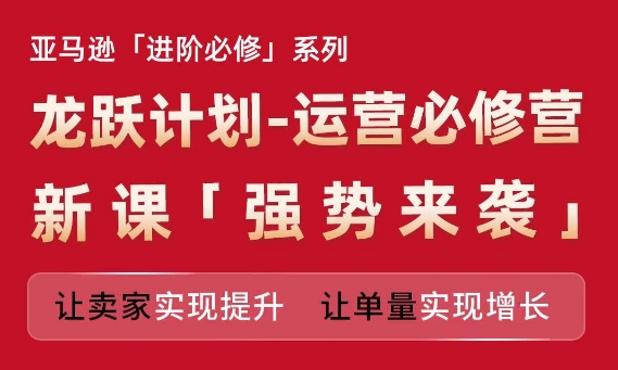 亚马逊进阶必修系列，龙跃计划-运营必修营新课，让卖家实现提升 让单量实现增长-林文副业站