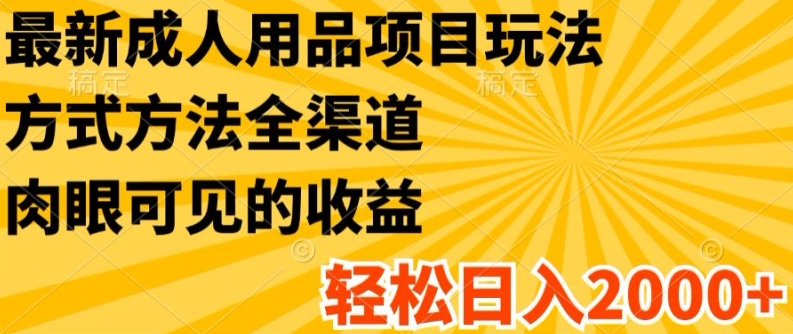 最新成人用品项目玩法，方式方法全渠道，轻松日入2K+【揭秘】-林文副业站